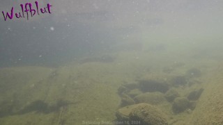 Out for a dive then cum at neighbour's place