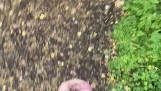 Jerking my dick in public flash