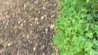 Jerking my dick in public flash