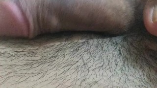 Pajaconlospiesdelavecina