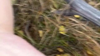 Pissing in a dress among golden aspens