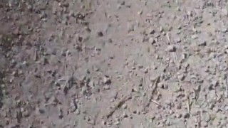 I walking jerk off outdoor in the public place