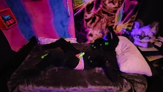 Kitty stuck edging in bed