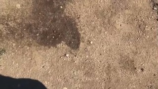 Outdoor piss #3 • backyard