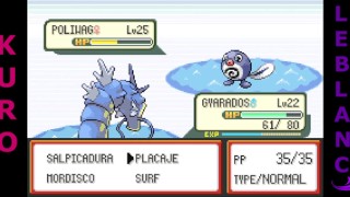 Pokemon GH24