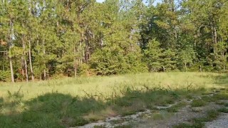 The Naked Rang-Slanger 19 (a furry?)