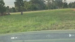 Public park crossdressing