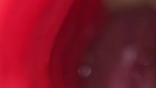 Frot Asmr Straight Edge Cock Block Paradise Dangling Close Up Cock Twink Shorties