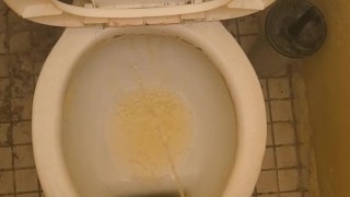 Short fapping after pee