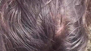 Bush blowjob and doggy style in public and happy ending in the mouth