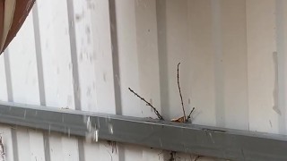Milf in boots pees at the fence