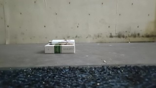 Cigarette Box (full) & Lighter Crush & Trample, male crusher, size 11 boots 89kg 👣👣