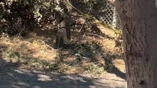 Stripping naked in a park