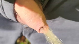 Pissing on the sunny day outdoor