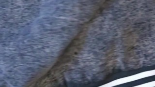 Riding phatrabbitkill2