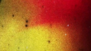 BRAZILIAN TRANSSEXUALS - Lunna DLucca Sensual Solo Play