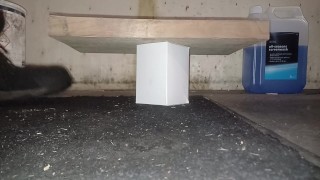 Box Stomp Trample & Crush, flattened under a board by my 89kg size 11 boots 👣👣