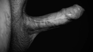 Long Blowjob untill I cum in her mouth - Luce Avery Black & White