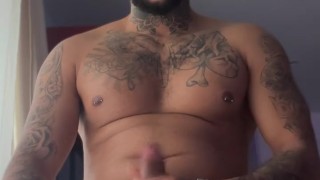 Damien custo solo