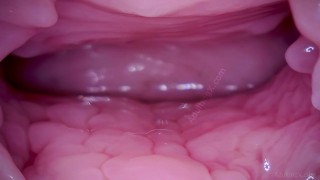 Pussy Coaster - Camera In Vagina