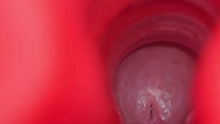 Top Intimaly Frot Straight Edge Cock Block Tight Tscalifauna Dangling Close Up Cock Twink Shorties