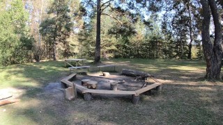 Nude girl came to the clearing of desires