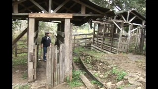 Cowboys fuck in the stable - NO CONDOM