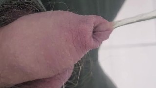 Pissing in the toilet
