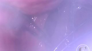 POV of the Whisk spreading my Ass from inside - Preview
