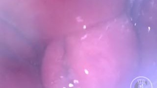 POV of the Whisk spreading my Ass from inside - Preview