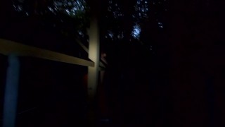 Halloween in forest :)