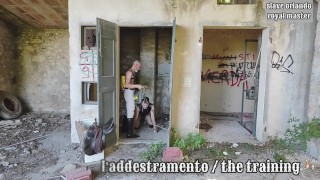 L'ADDESTRAMENTO / THE TRAINING