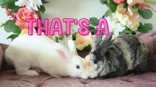 Who the fuck is GoonBunny?