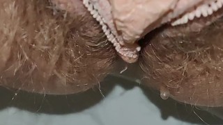 Hairy Pussy in Pink Panties Pissing 💦 Close Up
