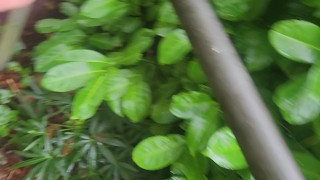 Juicy piss outdoors on a fine day