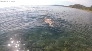 Underwater masturbation voyeur spy exhibitionist girlfriend
