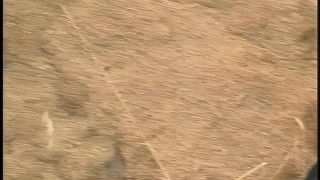 Blonde Doll Savanah Gold Gets Nailed by a Hung Stud- PervMilfsnTeens