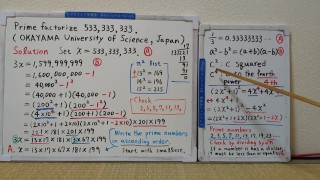 Prime Factorize 533,333,333.[JapanMath](job)