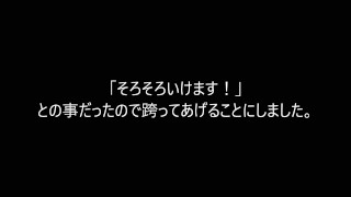 杭打ち杭打ち杭打ち！！！破裂音を響かせながらひたすらスパンキング騎乗位でちんぽを味わう人妻