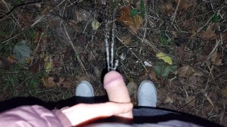 Public cruising in local forest becomes hotter when a thick mature load creampies young twink mouth