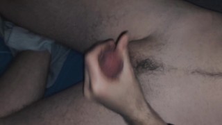 Morning... 2024-11-01