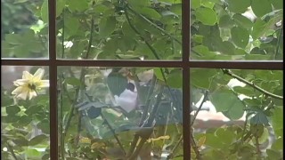 Blonde Porn Babe Hannah Harper Gets Banged For Cum All Over Her Great Tits- PervMilfsnTeens