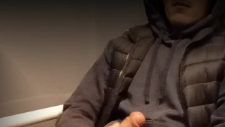 So horny I had to jerk it in the train toilets