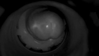 Dirty talking Daddy shoots a 14-day load inside his babygirl