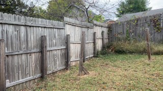 Trans Boy Desperately Pees Outside with Dick Packer