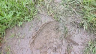 Cigarette Crush in Mud. Trampled and ground to nothing 👣👣