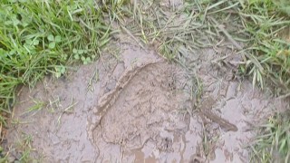 Slow Motion Cigarette Crush in Mud. Destroyed under my size 11 dirty boot 👣👣