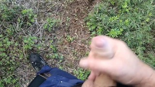 driving the truck I stopped to pee and had a quick wank