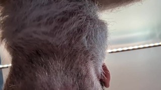 SeattleDad and BearfootHunter in Bed and one of us gets bred!