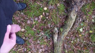 Pissing in the forest